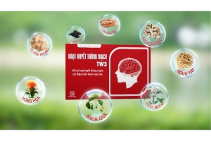 hoat-huyet-thong-mach-tw3-duoc-pham-tw3
