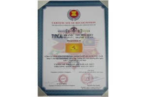 chicilon-media-was-voted-as-a-strong-asean-brand